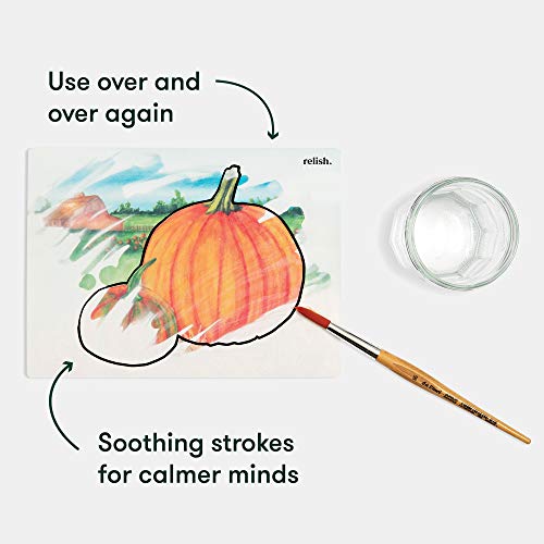 Relish Aquapaint 'Farm Memories' Pack of 5 Designs Reusable Water Painting Art Activity for Alzheimer's/Dementia