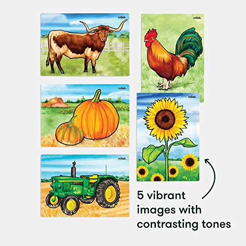 Relish Aquapaint 'Farm Memories' Pack of 5 Designs Reusable Water Painting Art Activity for Alzheimer's/Dementia