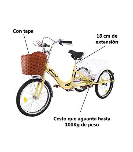 Riscko Triciclo para Adultos con 2 Cestas, 6 Velocidades, Asiento Y Manillar Ajustable Mod. Bep-14 Blanco Sin Montaje