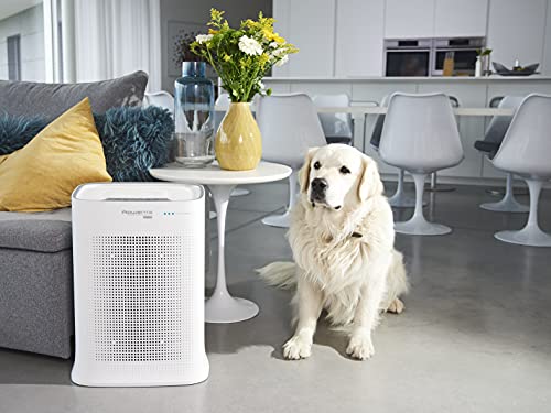 Rowenta PU3080 Pure Air Genius Conectado - Purificador de aire, hasta el 99.99% de alérgenos y partículas finas, 4 niveles de filtración, hasta 120 m² y cadr de 300 m3/h