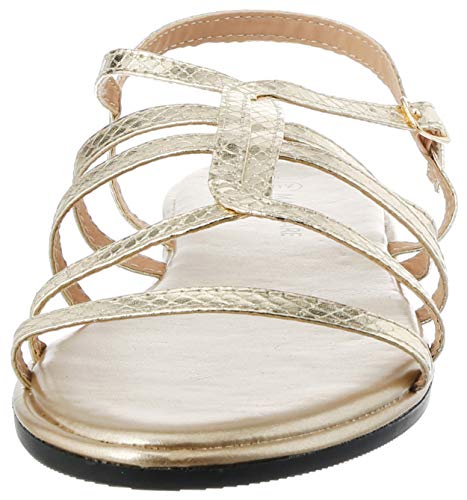 Sandalias Mujer MARIAMARE | Sandalias 67746 | MARIAMARE Mujer | Sandalias Tira de Tobillo | Cierre con Hebilla | 46637 | Oro | 41