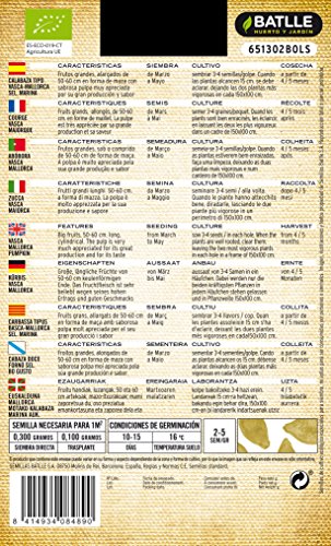 Semillas Ecológicas Hortícolas - Calabaza Mallorca Tipo Vasca - ECO - Batlle
