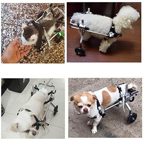 Silla de Ruedas, Soporte para Animal Ayuda Lifting, Rehabilitación Postoperatoria para Perros Viejos y Heridos, Patas Delanteras y Traseras, 2 Ruedas, 1~60 KG