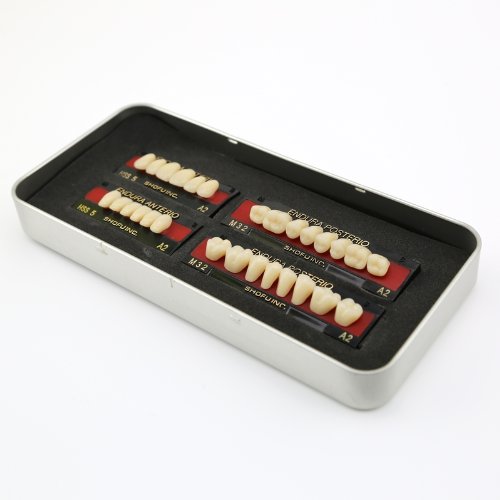 SNHUATONG 1 Caja / Set Nueva Dental del Tamaño de la prótesis de los dientes de color falsa M32 A2 dientes 28-pc