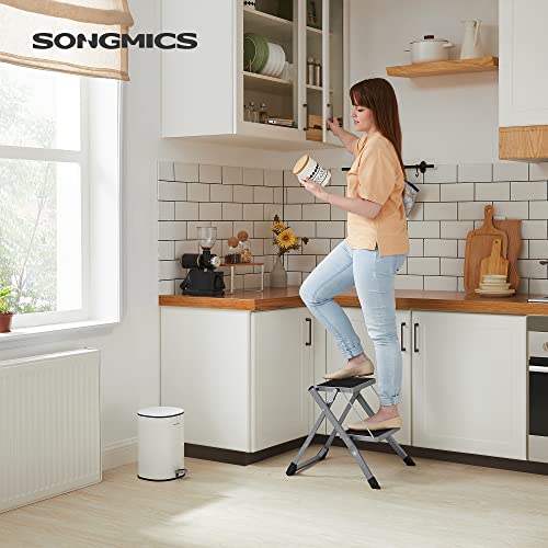 SONGMICS Escalera de 2 Peldaños, Escalera Plegable, Anchura del Peldaño 20 cm, Goma Antideslizante, con Asa, Carga de 150 kg, Acero, Gris y Negro GSL002GY01