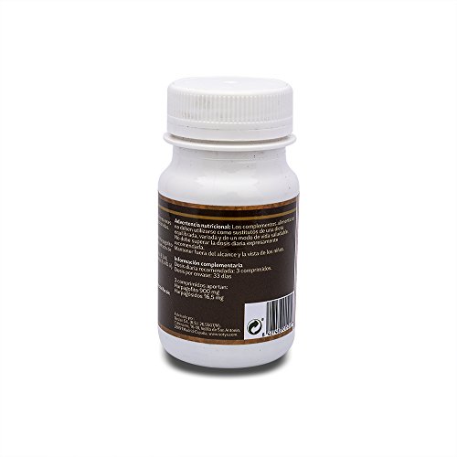 Sotya - Harpagofito 100 comprimidos 500 mg