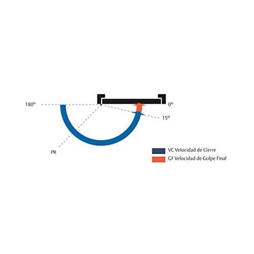 Tesa Assa Abloy DC110-9005 Cierrapuertas Brazo Articulado Para Puertas, Negro, Sin Retención