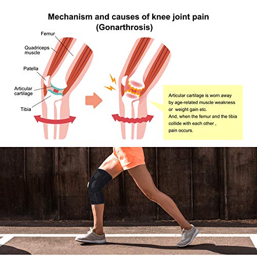 Thx4COPPER Rodillera con férula – Ajustable con correas y estabilizadores laterales – Soporte de rodilla – Rodillera de compresión para dolor de rodilla, ACL, MCL, artritis L