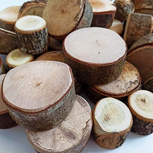 Ticumiku Troncos Naturales de Madera 30 Piezas