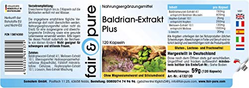 Valeriana Complex Plus - Extracto de Valeriana - Vegano - Con Lúpulo y Melisa - Puro - 120 Cápsulas