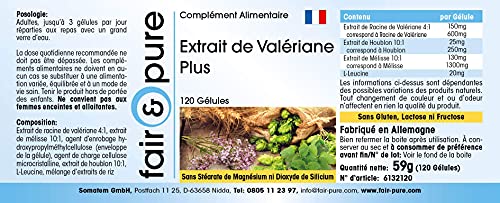 Valeriana Complex Plus - Extracto de Valeriana - Vegano - Con Lúpulo y Melisa - Puro - 120 Cápsulas