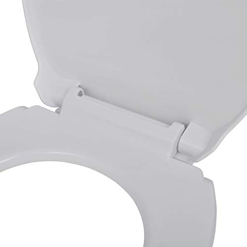 vidaXL Tapa de Inodoro Váter Asiento de Cierre Suave Blanca Ovalada Retrete WC