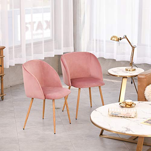 Vittorio meda Sillas de Comedor Silla de Salón Terciopelo Silla de Cocina con Reposabrazos y Patas de Metal (Rosa, 2)