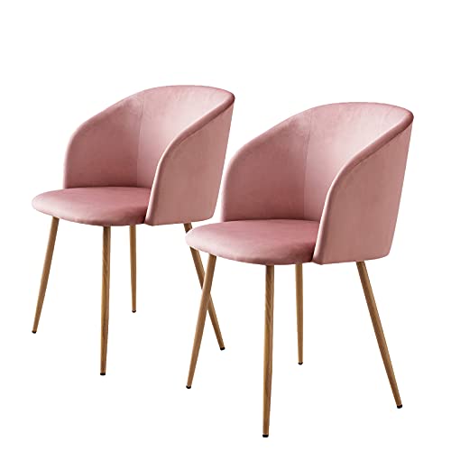 Vittorio meda Sillas de Comedor Silla de Salón Terciopelo Silla de Cocina con Reposabrazos y Patas de Metal (Rosa, 2)