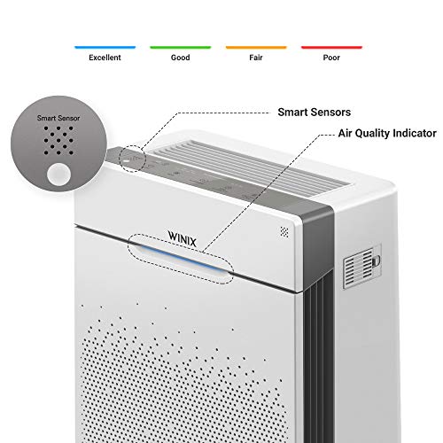 Winix Zero Pro - Purificador de Aire hasta 120 m² (Purificador de Aire contra alergias, olores, Polvo, con Filtro HEPA, Onda de Plasma y Filtro de carbón).