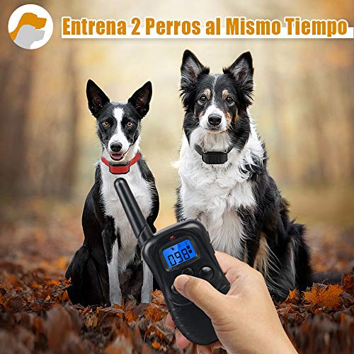 Wodondog Collar de Adiestramiento para Perros Recargable y Resistente al Agua con Vibración y Sonido, Rango Remoto de 300 Metros