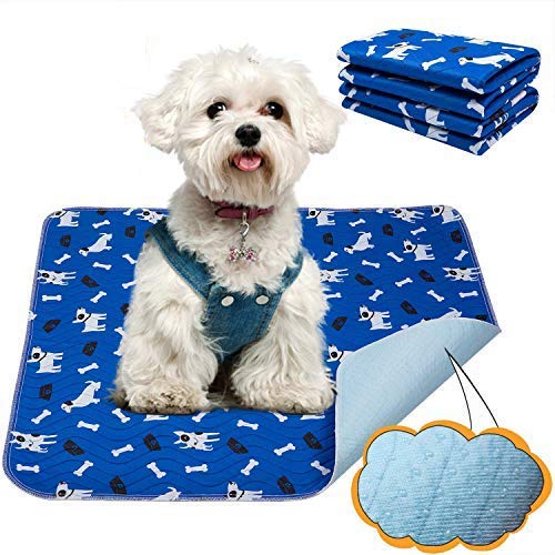 Yangbaga Empapadores Perros, Pañales de Perro Lavable y Reutilizables Empapadores de Entrenamiento para Adecuado para Perros Pequeños y Medianos o Gatos,Pañales para Perros Antideslizante (58 * 39cm)