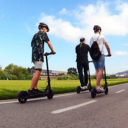 ZWHEEL Patinete eléctrico para Adulto Serie E9 E9 Basic hasta 20km de autonomía, 25km/h, Dos Modos de Velocidad, 300W Motor, Plegable, Control de Crucero, conexión App móvil