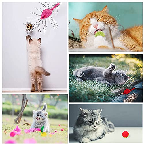 24 Piezas Juguetes para Gatos, Set di Juguetes para Gatos Interactivo Ratón, Bolas Varias con Campanas Plumas, Captura Juguetes de Entrenamiento para Kitty Mascota Gato Juguetes