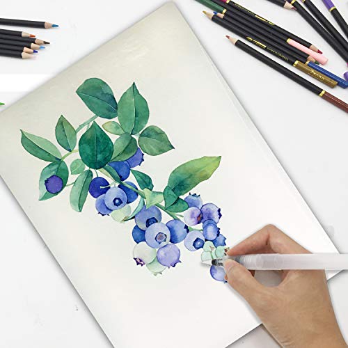 72 Lápices de Colores Acuarelables en estuche con cremallera para obtener grandes resultados, hermosos efectos cuando se mezclan con agua, Conjunto Ideal para Artistas, Adultos y Niños