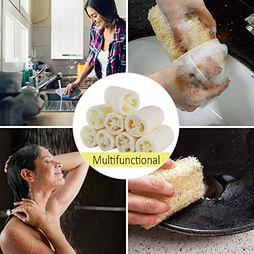 8 PCS Natural Loofahs Loofah Sponges Loofah Spa Exfoliante Exfoliante Gel de baño Esponja Quitar la piel muerta para el spa Ducha corporal Cuidado diario de la piel