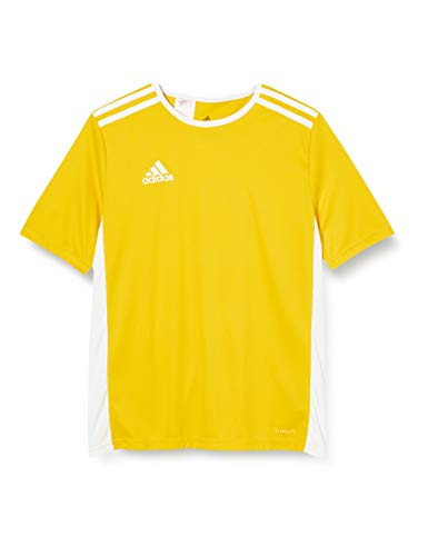 adidas Entrada 18 JSY T-Shirt, Hombre, Yellow/White, L