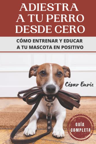 Adiestra a tu Perro Desde Cero: Cómo Entrenar y Educar a tu Mascota en Positivo. Guía Completa: Técnicas, Trucos y Habilidades para el Adiestramiento Canino de tu Cachorro