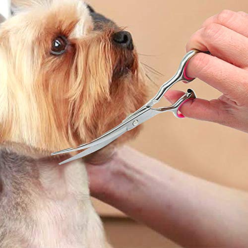 AILOVA Tijeras para Mascotas,6 Pulgadas Tijeras De Acero Inoxidable para Cortar Pelo De Perro Gato Mascota (Up Curved Scissors)