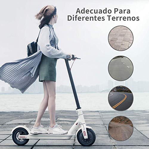 ANSENI® Cámaras de Aire 10 Pulgadas Xiaomi m365 Reforzada para Xiaomi M365/PRO,Cámara Reforzada 10x2, Repuesto para los Patinete Eléctrico de 10 Pulgadas,(2 Unidades)