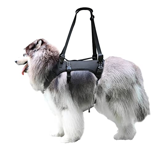 Arnés de levantamiento de cuerpo completo con asa, ideal para la movilización de mascotas enfermas o ancianas, material cómodo y transpirable, fácil de ajustar (negro, XXL)