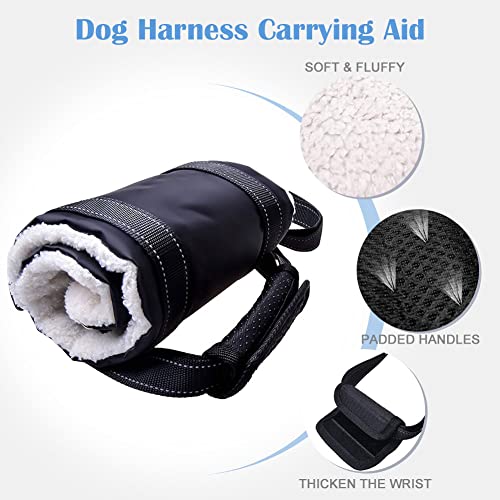 Arnés de Soporte para Perros, arnés Trasero de elevación para Perros para piernas débiles, arnés Trasero Ajustable con asa para Perros discapacitados, lesionados y Ancianos (Large)