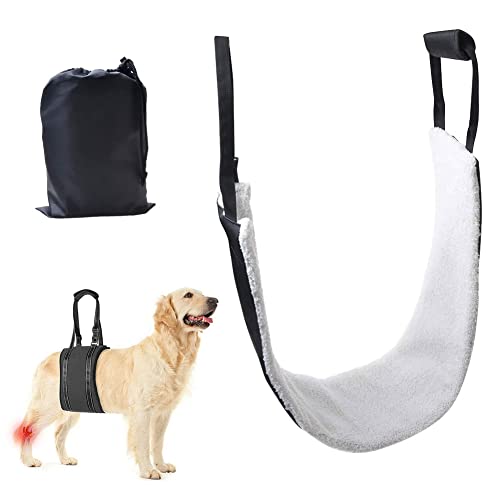 Arnés de Soporte para Perros, arnés Trasero de elevación para Perros para piernas débiles, arnés Trasero Ajustable con asa para Perros discapacitados, lesionados y Ancianos (Large)