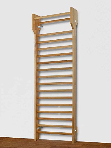 ARTIMEX Escalera de Madera Sueca (Pared de Resorte) para Fisioterapia y Gimnasia en casa, gimnasios, clínicas, centros de Fitness y escuelas - Espaldera de Madera de Haya, 240x90 cm, código 216-F