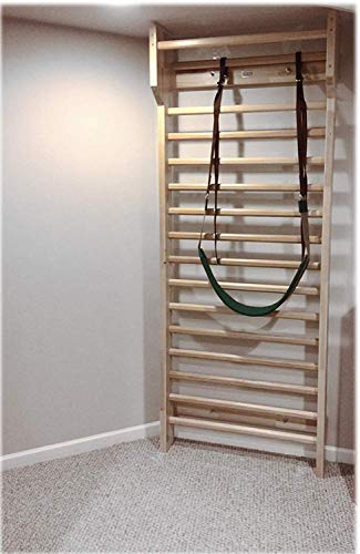 ARTIMEX- Escalera Sueca (Escalera) - Herramienta de Fisioterapia y Gimnasia - Ideal para Ejercicios escoliosis, Artritis y Dolores de Espalda, Madera de Haya, 230x90 cm, código 216-F-Schroth