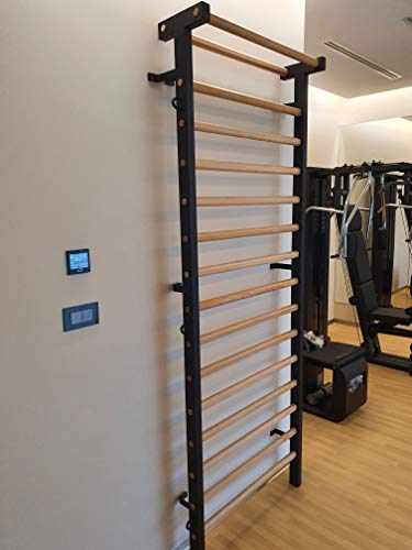 ARTIMEX espaldera Metal/Madera para Fisioterapia y Gimnasia - Utilizado en hogares, gimnasios, clínicas y centros de acondicionamiento físico - código 221-M-Negro