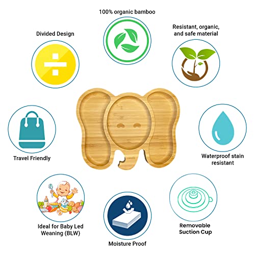 AWIIK - Plato de Bamboo con fuerte ventosa para Bebés y niños pequeños. Plato BLW de bambú antideslizante con succión. Plato infantil antivuelco para aprender a comer BLW (Elephant_Green)