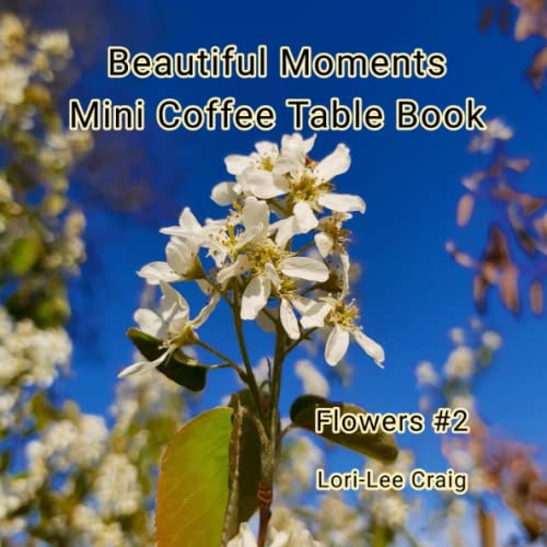 Beautiful Moments Mini Coffee Table Book Flowers #2: A full color picture book with no text gift for Seniors with dementia, Alzheimer's patients. A ... (Beautiful Moments Mini Coffee Table Books)