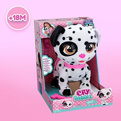 BEBÉS LLORONES Spot el dálmata de Dotty | Peluche Perro Interactivo Que Camina y Llora de Verdad - Juguete y Regalo Ideal para niñas y niños +3 Años