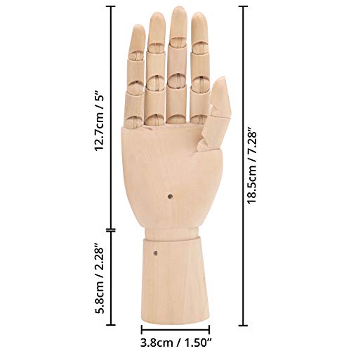 Belle Vous Mano Articulada Flexible Maniquí Mano Izquierda y Derecha (Pack de 2) 18,5 cm – Mano Movible Exhibir con Movimiento de los Dedos Maniquí Dibujo, Bocetos y Pintar – Soporte para Joyas