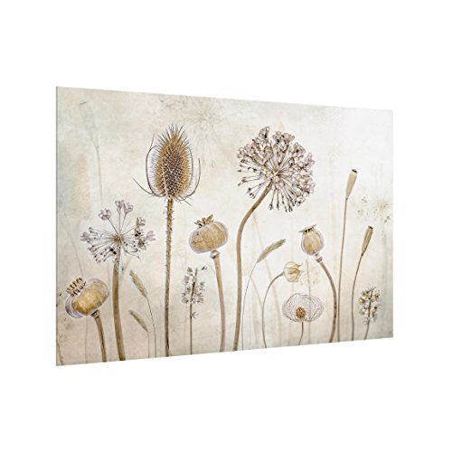 Bilderwelten Panel antisalpicaduras de Cristal - Growing Old - Horizontal 2:3, Panel antisalpicaduras Panel de Vidrio para Cocina Panel Protector contra Salpicaduras, Tamaño: 59cm x 90cm