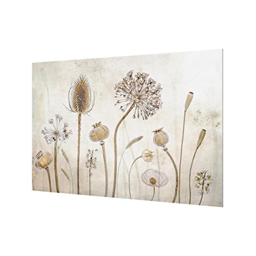 Bilderwelten Panel antisalpicaduras de Cristal - Growing Old - Horizontal 2:3, Panel antisalpicaduras Panel de Vidrio para Cocina Panel Protector contra Salpicaduras, Tamaño: 59cm x 90cm