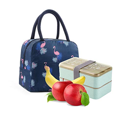 Bolsa Térmica Comida Bolsas de Almuerzo caja porta con Aislamiento Bolso de Mano para Mujeres Impermeable Fiambrera Isotermica Aislado Térmico para Hombres niñas niños (Azul oscuro)