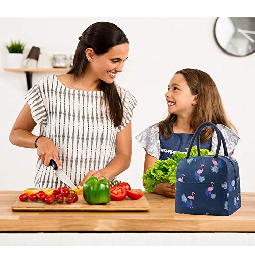 Bolsa Térmica Comida Bolsas de Almuerzo caja porta con Aislamiento Bolso de Mano para Mujeres Impermeable Fiambrera Isotermica Aislado Térmico para Hombres niñas niños (Azul oscuro)