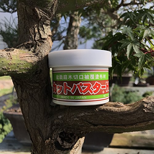 Bonsai cut paste for deciduous trees - 160gm