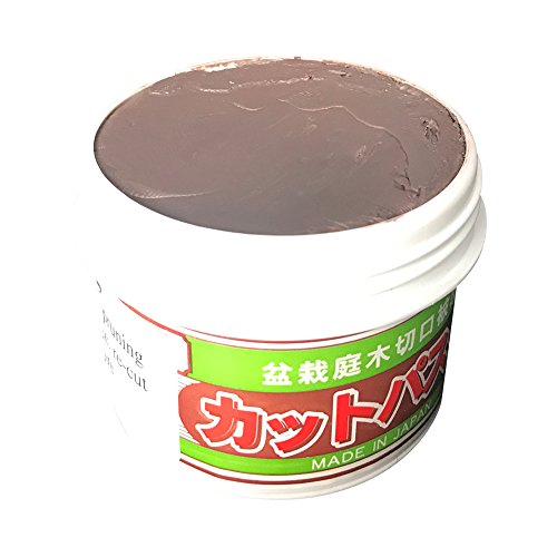 Bonsai cut paste for deciduous trees - 160gm