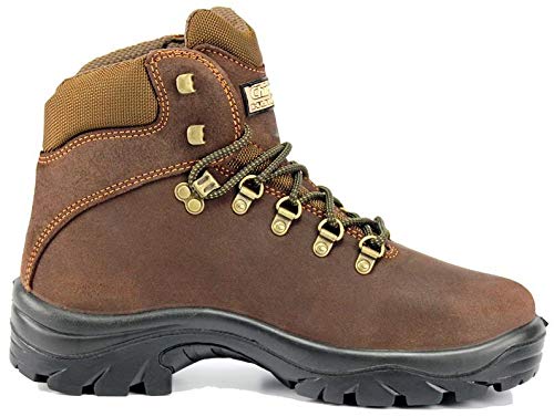 BOTA CHIRUCA POINTER COLOR MARRON GORE-TEX (45)