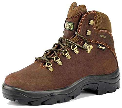 BOTA CHIRUCA POINTER COLOR MARRON GORE-TEX (45)