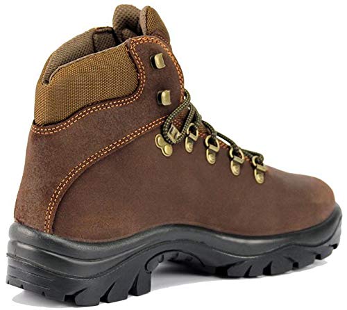 BOTA CHIRUCA POINTER COLOR MARRON GORE-TEX (45)