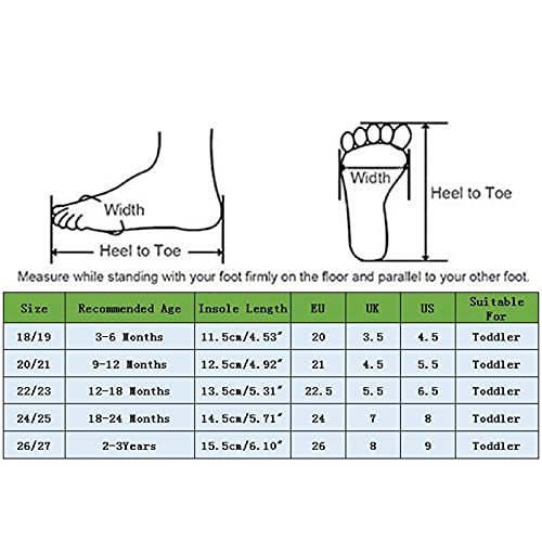 Calcetines Bebe niña niño Primavera Verano otoño Calcetines Tobilleros bebé de Suelo Antideslizantes Transpirables cómodos Zapatillas de Estar por casa Zapatos para niños pequeños Primeros Pasos