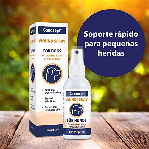 Canosept Spray Para Heridas En Perros 75ml - Spray Antiinflamatorio Para La Limpieza De Heridas Y El Apoyo A La Cicatrización De Las Mismas